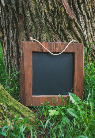 Rustic wooden empty chalkboard leans on tree in green grass offers empty copyspaceの写真素材
