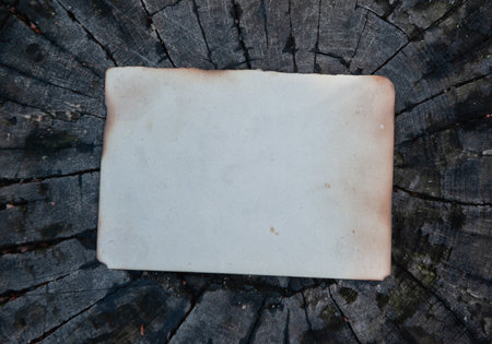 Vintage empty paper lies on the old wooden texture background