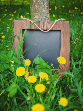 Rustic wooden empty chalkboard leans on tree in green grass and dandelion flowers offers empty copyspaceの写真素材