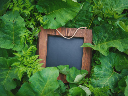 Rustic wooden empty chalkboard lies among green grass offers empty copyspaceの写真素材