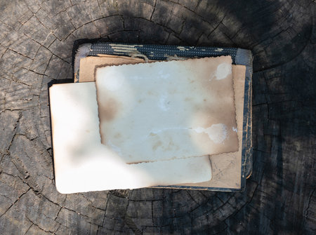 Two vintage empty papers lies on the old wooden texture background