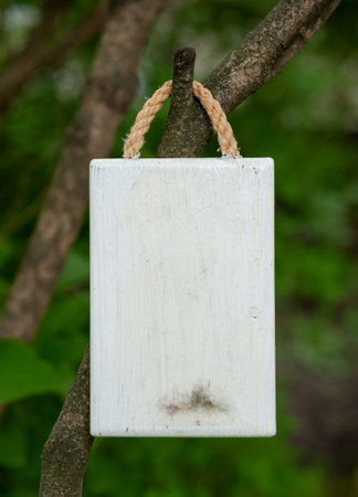 Rustic white wooden empty board hangs on tree offers empty copyspaceの写真素材
