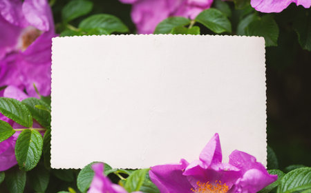 Vintage empty paper lies on green leaves of a plant with flowers, creating a rustic and natural background. The weathered sheet blends with botanical foliage, offering an eco-friendly texture for holidayの写真素材