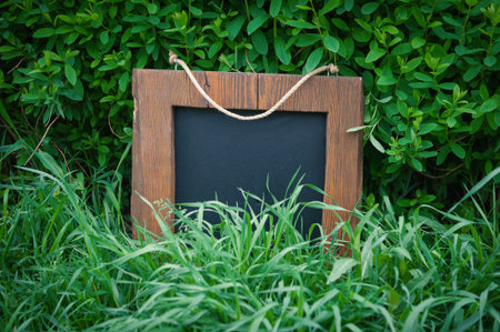 Rustic wooden empty chalkboard lies among green grass offers empty copyspace