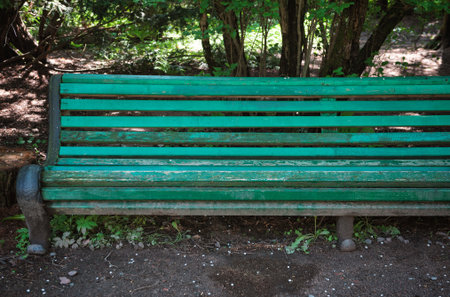 Vintage weathered green bench with chipped paint sits in quiet shadeの写真素材