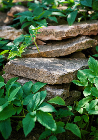 Flat garden stones stacked in wild green foliage under sunlight. Ideal for eco, forest, or rustic landscaping themesの写真素材