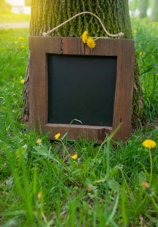 Rustic wooden empty chalkboard leans on tree in green grass and dandelion flowers offers empty copyspaceの写真素材