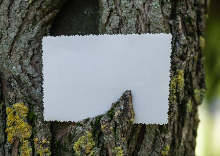 Vintage empty paper on the old wooden bark texture of tree backgroundの写真素材