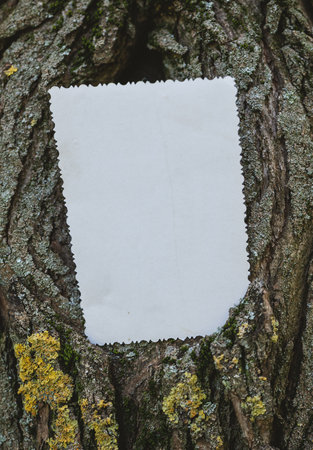 Vintage empty paper on the old wooden bark texture of tree backgroundの写真素材