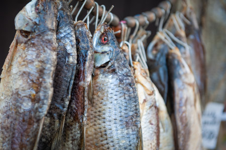 Close-up of dried fish hanging on hooks, perfect for rustic food content