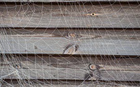 Rustic rope pattern of the fishing net tangled on weathered wooden planksの写真素材