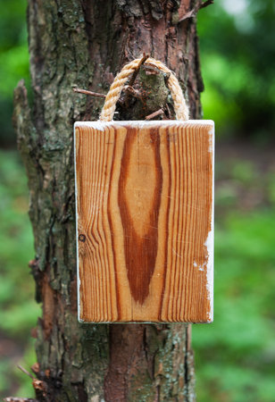 Rustic brown wooden empty board hangs on tree offers empty copyspaceの写真素材