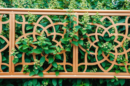 Decorative fence with floral trellis blends with lush green leavesの写真素材