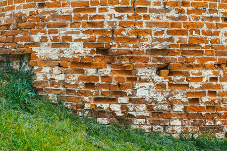 Green grass contrasts rough facade of the old red brick wall with weathered texture and vintage decayの写真素材