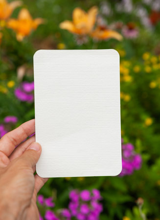 Hand of woman holds the empty white paper against green leaves and flowers natural background