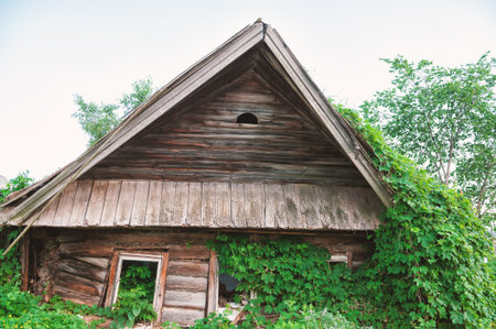 Abandoned wooden house with broken windows stands hidden under ivy and leavesの写真素材