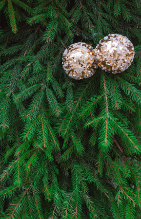 Sparkling Christmas balls hang among lush green spruce branches create a joyful winter moodの写真素材