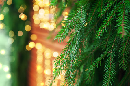 Green pine needles glow with golden bokeh creating festive holiday natural atmosphere