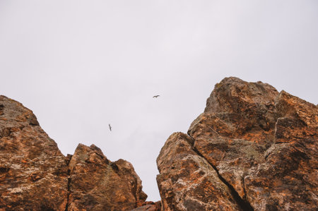 Birds glide above rugged cliffs under a calm sky capturing freedom and wildernessの写真素材