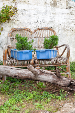 Rustic garden scene with rattan chair, blue containers, and lush greeneryの写真素材