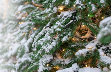 Snow-covered branches of a Christmas tree glow with festive lights outdoors, creating a magical winter sceneの写真素材