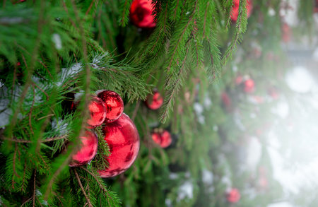 Festive pine tree decoration captured with a cozy, bokeh-filled background. Christmas backgroundの写真素材