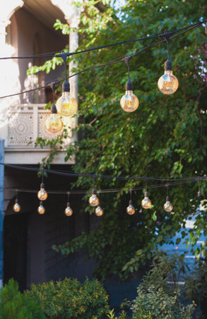 Warm bulbs lights create cozy ambience for outdoor garden celebration