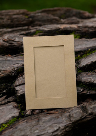 Empty paper lies on the old wooden bark texture background