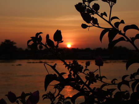 Sunsetの写真素材