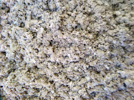 Texture sementsの写真素材