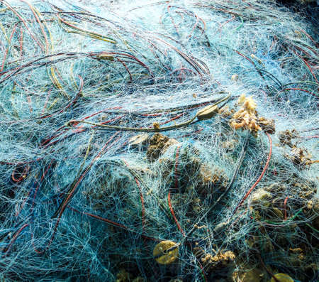 fishnetの写真素材