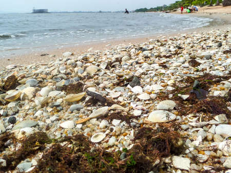 Water Pollutionの写真素材