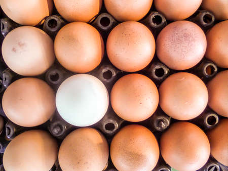 eggs on packの写真素材