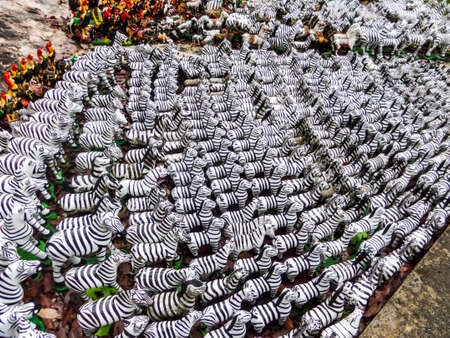 Zebra hundred statusの写真素材