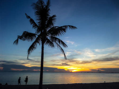 Human and Nature when sunset timeの写真素材