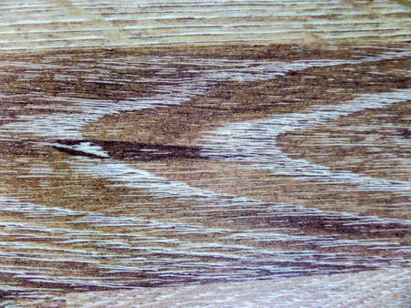 surface of wood has various color such as white brown dark brownの写真素材