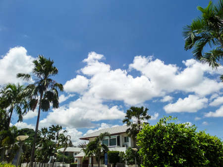 Home and garden have a lot tree all aroundの写真素材