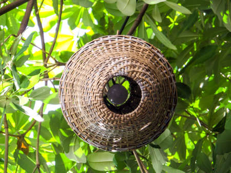 Lamp weave handmade make by bambooの写真素材