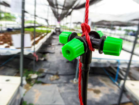 sprinkler in hydroponics farmの写真素材