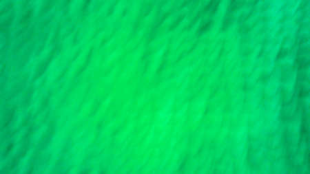 Blur light spread color, background and texture of lightの写真素材