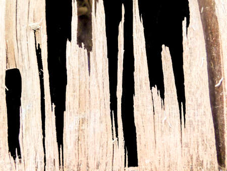 Old and crack wood backgroundの写真素材