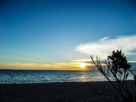 Sunset and plant moving by wind at beachの写真素材