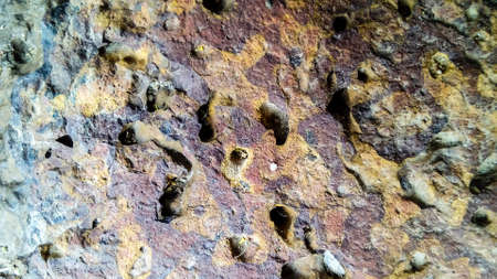 laterite texture use to decorate indoor and out doorの写真素材