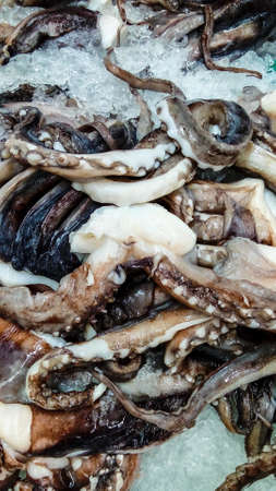 Octopus whiskers on ice tank use to cook any foodの写真素材
