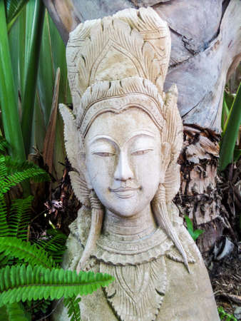 earthenware  and ceramic in the garden