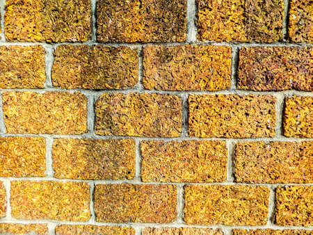 laterite texture wall at Djittabhawan Temple Banglamung Chonburi Thailandの写真素材