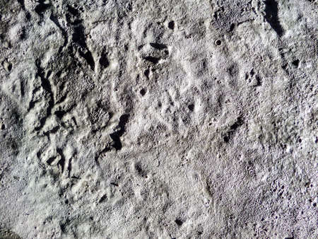 concrete texture in construction areaの写真素材