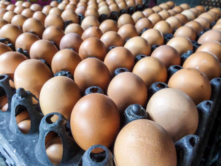 Egg on pack at local marketの写真素材