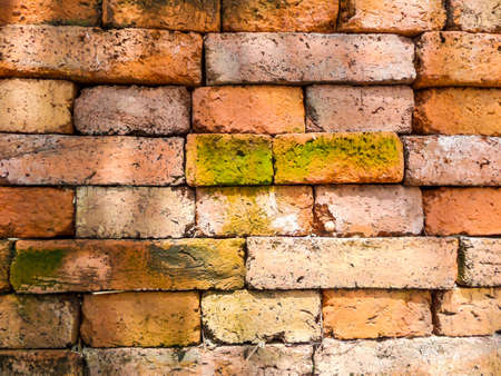 Old wall in the local garden