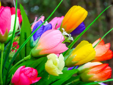 Rainbow rose made by plastic use to decor and interior in the gardenの写真素材